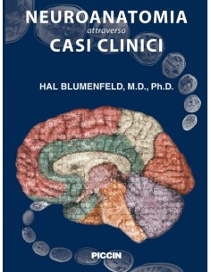 Neuroanatomia attraverso...