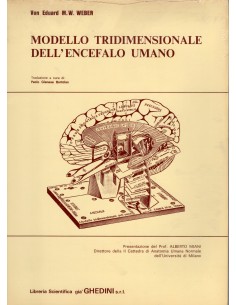 Modello tridimensionale...