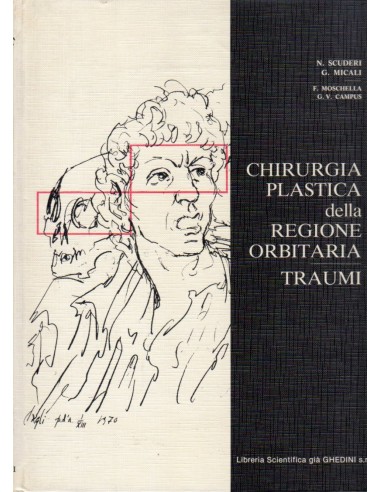 Chirurgia plastica della regione...