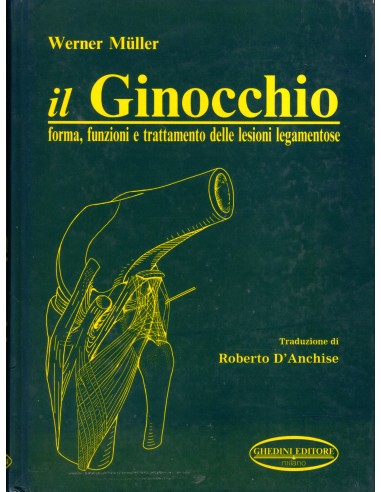 Ginocchio Forma funzioni e...