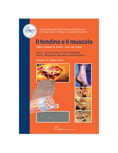 Tendine ed il muscolo (il)...