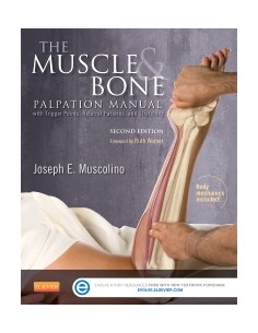 Muscle and Bone Palpation...