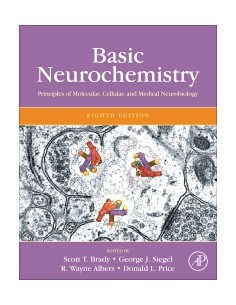 Basic Neurochemistry...