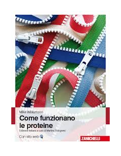 Come funzionano le proteine...