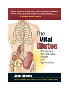 Vital Glutes Connecting the...