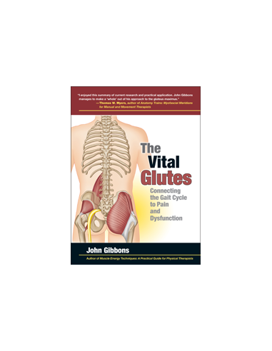 Vital Glutes Connecting the Gait...