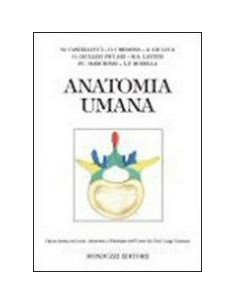 Anatomia Umana basata su...