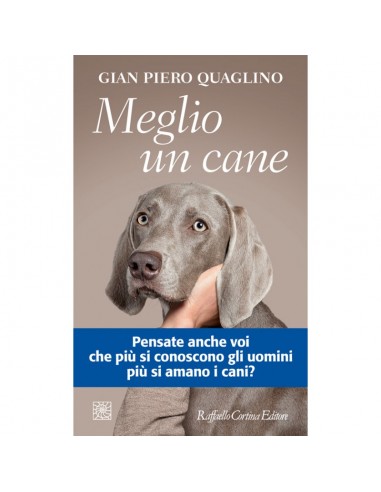 Meglio un cane