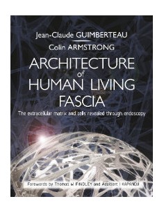 Architecture of Human...