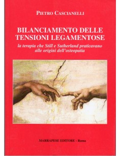 Bilanciamento delle...