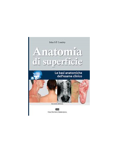 Anatomia di Superficie basi...