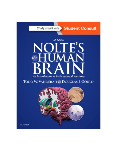 Nolte's the Human Brain 7/e 2015
