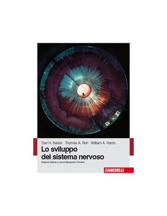 Sviluppo del sistema...