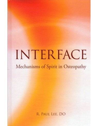 Interface Mechanisms of Spirit in...
