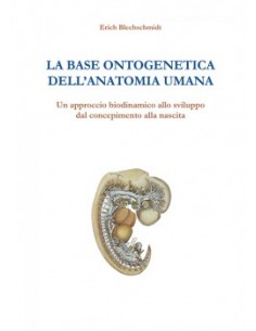 Base Ontogenetica...
