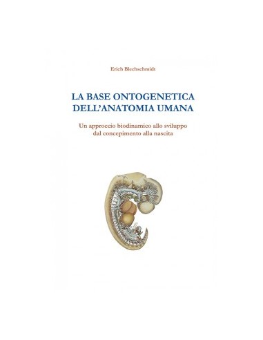 Base Ontogenetica dell'Anatomia Umana...
