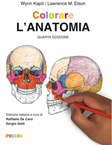 Colorare l'anatomia