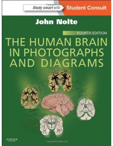 Human Brain in Photographs and...