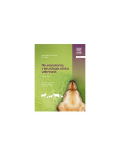 Neuroanatomia e neurologia...