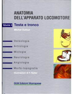 Anatomia dell'apparato...