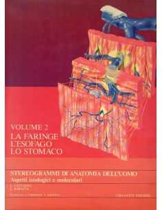 Stereogrammi di anatomia...