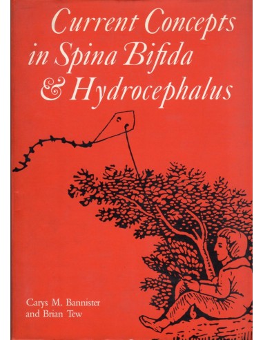 Current concepts in spina bifida and...