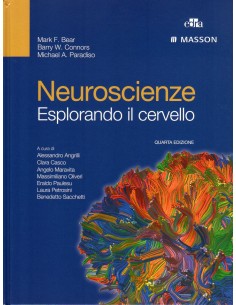Neuroscienze esplorando il...