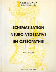 Schematisation neuro...
