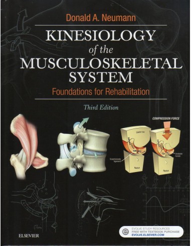 Kinesiology of the Musculoskeletal...