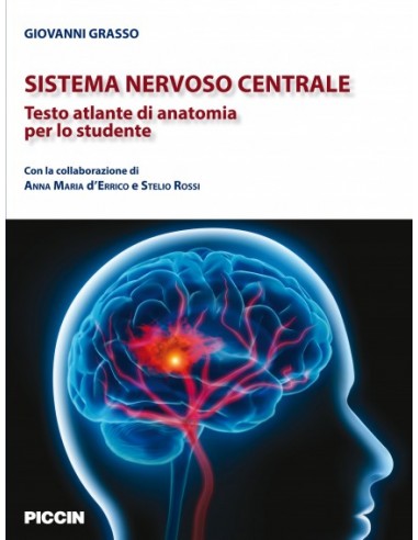 Sistema Nervoso Centrale testo...
