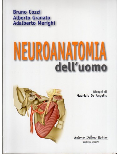 Neuroanatomia dell'uomo 2/e 2017