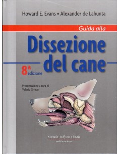Guida alla dissezione del...