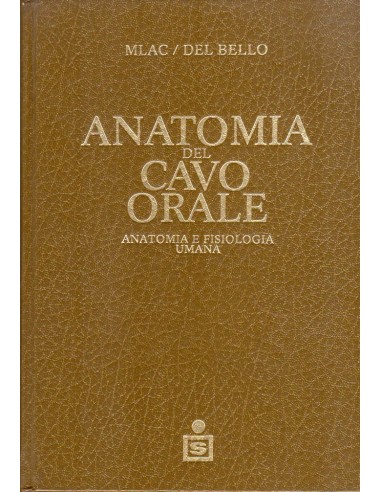 Anatomia del cavo orale con elementi...