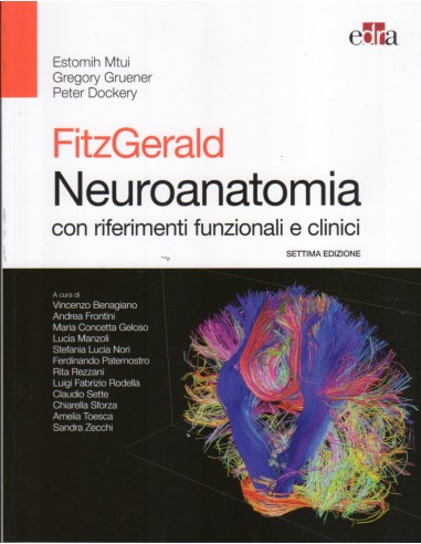 Neuroanatomia con riferimenti...