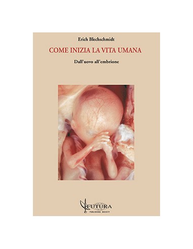 Come inizia la vita umana dall'uovo...