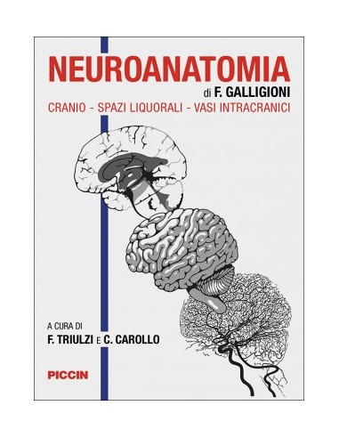 Neuroanatomia di F. Galligioni....