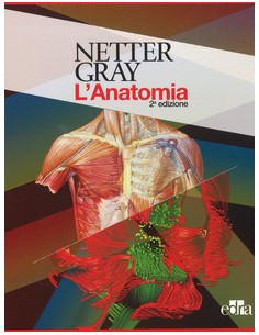 Anatomia del Gray e Netter...