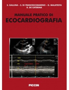 Manuale pratico di...