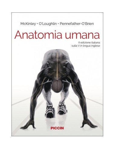 Anatomia Umana 2/e 2019
