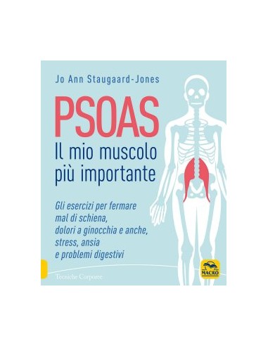 Psoas il Mio Muscolo più Importante...