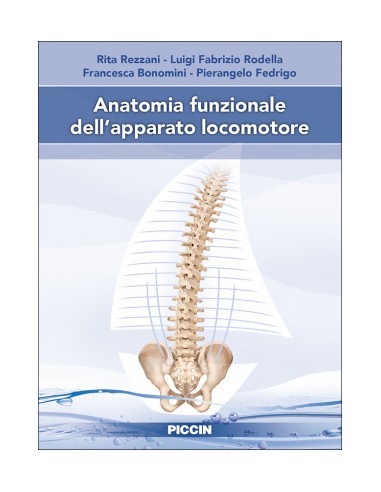 Anatomia funzionale dell’apparato...