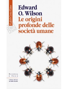Origini profonde delle...