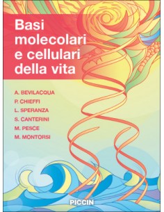 Basi molecolari e cellulari...