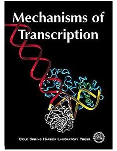 Mechanisms of transcription...