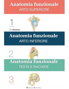 Anatomia funzionale 1/3...