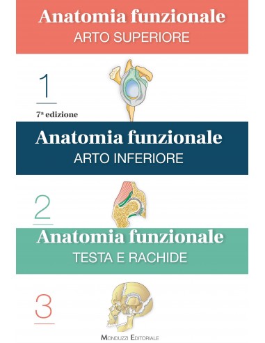 Anatomia funzionale 1/3 arto...