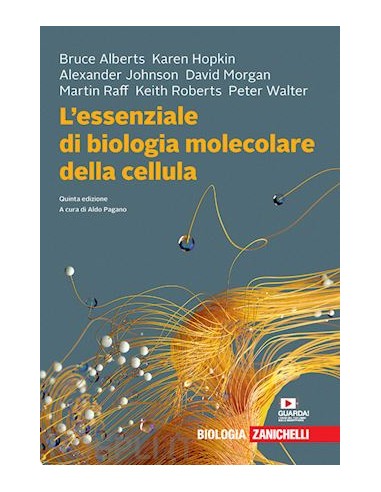 Essenziale di Biologia molecolare...