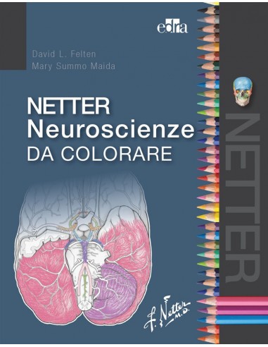 Netter Neuroscienze da colorare...