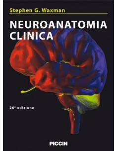 Neuroanatomia Clinica