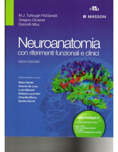 Neuroanatomia con riferimenti...